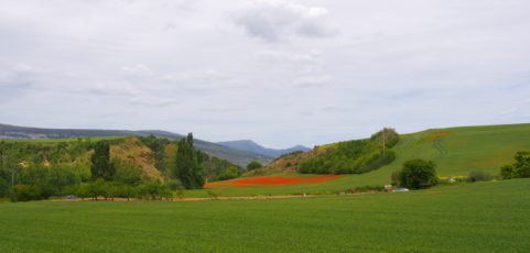 Crónica de la remota provincia